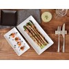 LAPIS sl-019 Tableware East Rectangular Plate, 10.6 inches (27 cm),