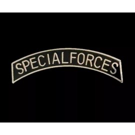 SPECIAL FORCES SILVER COLOR TAB ARMY LAPEL PIN 1.25” (P39-3)