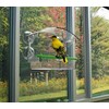 Transparent Large Window Bird Feeder,Clear Acrylic Birds Feeders with 4