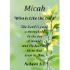 Micah "Who is Like the Lord" Keepsake Name Meaning Card
