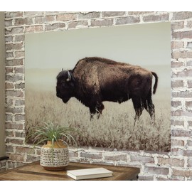 Signature Design by Ashley Brutus Rustic Glass American Bison Canvas Wall Art, 48 x 36, Brown