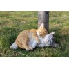 Hi-Line Gift Ltd. Sleeping Cats Decor Garden Statue Garden Yard