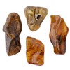 Earth Story Amber 8g piece smooth