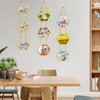 Marsui 3 Set Double Glass Frame Collage For Pressed Flowers