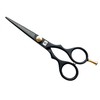Sanguine Hairdressing Scissors 5.5" 5.5"