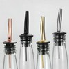Stainless Steel Classic Bottle Pourers,Black 6 Pack with6 Adapters for