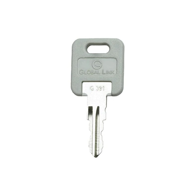Global Link G391 RV Replacement Key G391