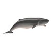 CollectA 88653 Komakkou Whale Figure