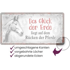 AV Andrea Verlag Large Metal Sign Rust-Proof Tin Sign with Funny Quote in Vintage Retro Look