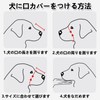 Muzzle, Mesh, Dog Muzzle, Small Dog, Muzzle for Dogs, Drinking