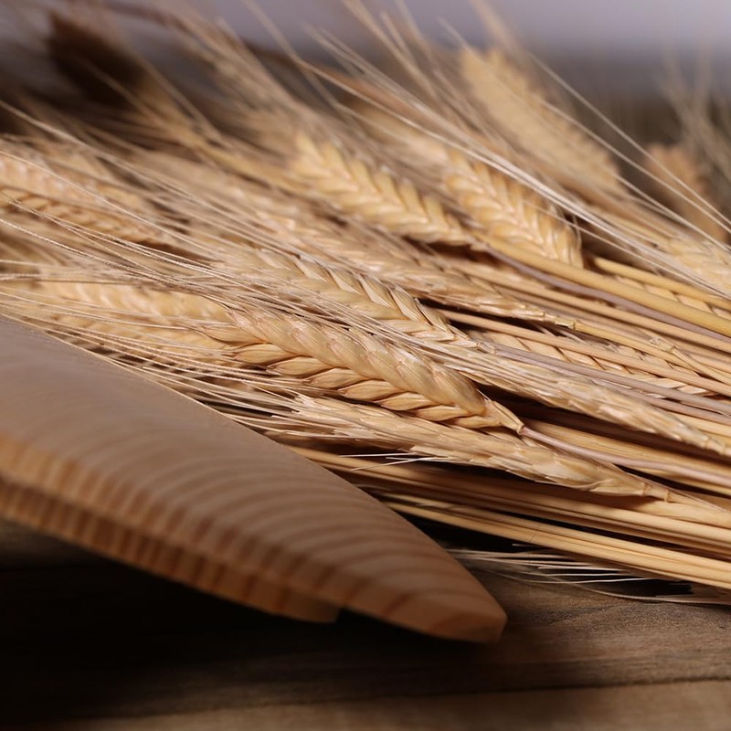 Organic Einkorn Wheat Berries - 10lbs