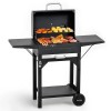 MASTER COOK Heavy-duty Steel BBQ Charcoal Grill with Two Side