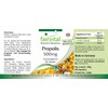 Fairvital | Bee Propolis Capsules - 500mg - HIGH Dosage