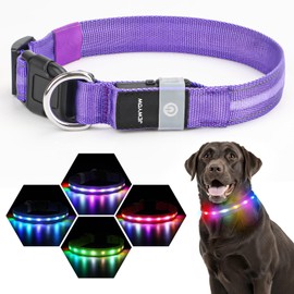 LED Dog Collar, Light Up Dog Collar, USB Rechargeable - Brightest Dog Lights for Night Walking, 6 Light Modes, Adjustable for Dog Safety(Medium, Purple)