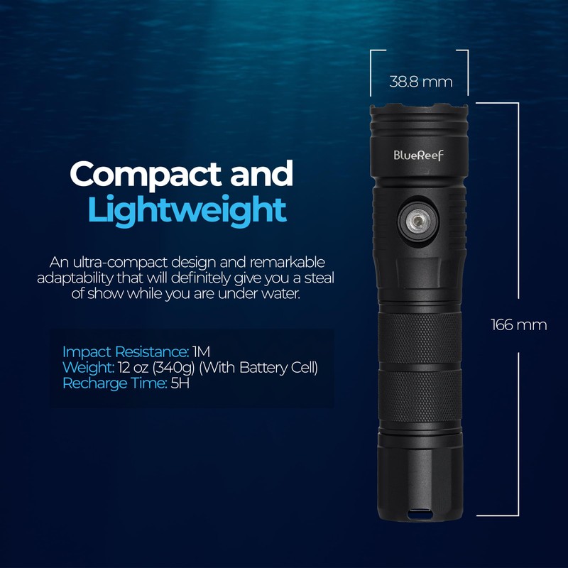 Blue Reef 2000 Lumens Dive Light, High-Powered Rechargeable LED Flashlight,