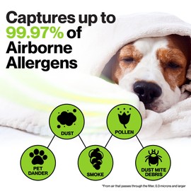 Durabasics 3 HEPA Filter Set for HPA300 Honeywell Air Purifier Filters & Honeywell HPA300 - Compatible with Air Purifier Replacement HPA 300 - Replacements for Filter R & HPA 300 Filter