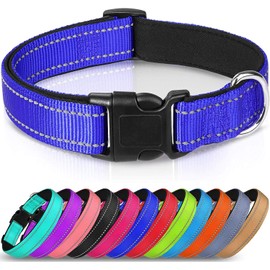 Strong Bright Reflective Dog Puppy Collar, Soft Padded Lightweight, Fully Adjustable. Small Medium Large Dog Breeds (Royal Blue, M (Pack of 1))