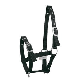 Fohlenhalfter Triple, schwarz