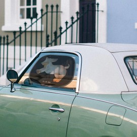 Mr. & Mrs. Panda Car Sun Protection Dog Dachshund Gift Dog Love, Dog Owner, Sayings, Sun Car, Happy Dog, Sun Protection for Car