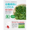 Green Tea Bag, Cold Brew Organic - Includes Videos on