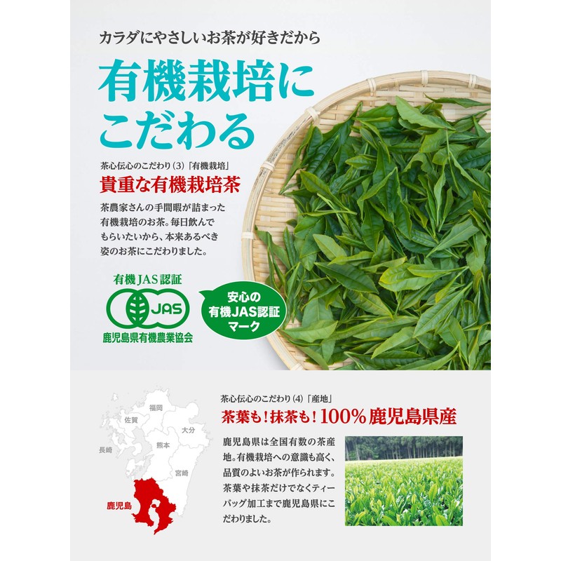 Green Tea Bag, Cold Brew Organic - Includes Videos on