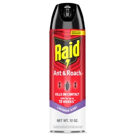 Raid Ant & Roach Killer Spray For Listed Bugs, Keeps Killing for Weeks, Lavender Scent, 12 oz