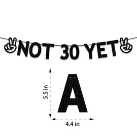 Plzaxou 29th Birthday Party Decorations for Men Women, Black Glitter Not 30 Yet Banner, Funny 29 Years Old Birthday Party Decorations Supplies