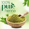 Godrej Nupur Henna Mehndi | 500 gram(17.64 Ounce) | Pack