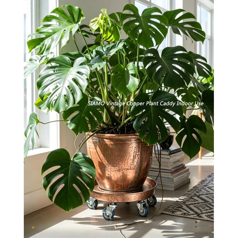 SIAMO 20" Heavy Duty Plant Caddy (570lbs Capacity)-Lockable Non-Scratch Swivel