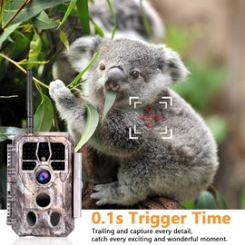 BlazeVideo Wildlife Camera WLAN with App, Wildlife Camera Night Vision Camera Photo Trap 48MP 1296P Connect App Bluetooth Antenna with Night Vision Motion Sensor