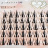 CLEAREYELASH Partial False Eyelashes, Large Capacity, 60 pcs, Korea, Natural,