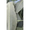 Fresh one pound Aprox. Fresh Eucalyptus leaves 16 onz Free