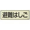 Luminous Escape Equipment Sign fr303 Escape Ladder 066303