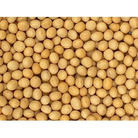 Pinstar Premium Premium Grade Non-gmo Soybeans (5 Pounds) - Great For Soy Milk And Tof