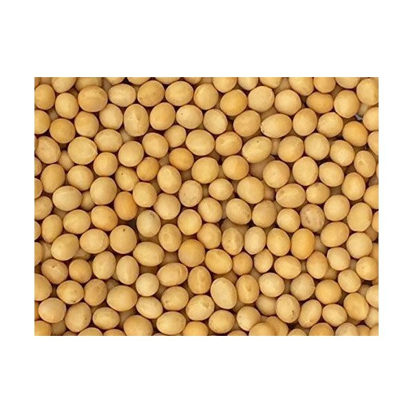 Pinstar Premium Premium Grade Non-gmo Soybeans (5 Pounds) - Great