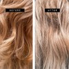 Davroe Blonde Senses Platinum Blonde Shampoo and Conditioner Bundle