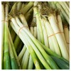 Everwilde Farms - 1/4 Lb Evergreen White Bunching Onion Seeds