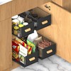 2 Pack Pull out Cabinet Organizer Fixed with Adhesive Nano