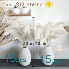 30 Stems 28" inch Large White Pampas Grass Fluffy, Boho Home Decor, Natural Fluffy Pompas Grass Pampas for living room Decor, Table Decor, Boho Decor Floor, Party wedding Decor, Gift (30 White )