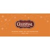 Celestial Seasonings Herbal Tea, Gingerbread Spice, 18 tea bags (Pack