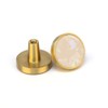 EVERGD 27mm Pure Copper Handle Shell Brass Gold Wardrobe Kitchen
