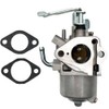 LIZAPUS Carburetor Compatible with Coleman Powermate Generator 5000 6250W PM0435003
