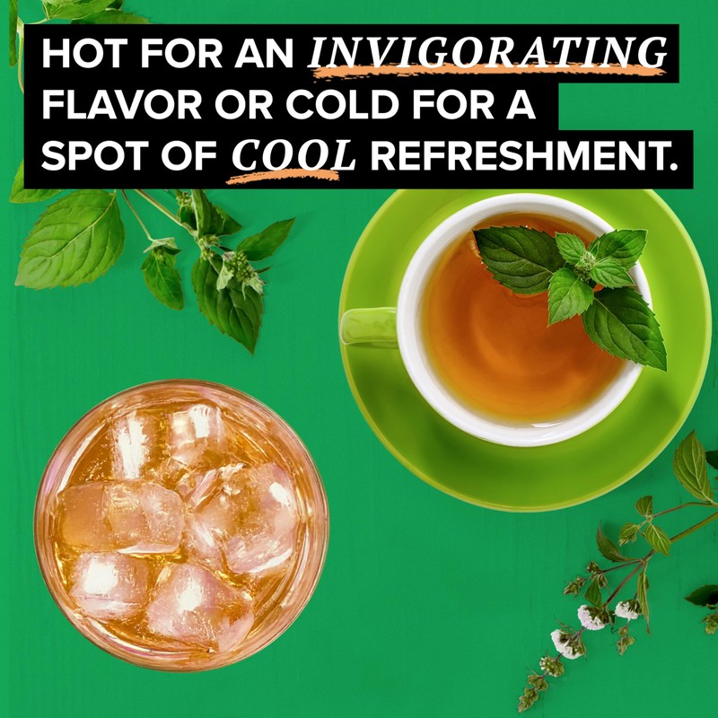 TAZO Organic Refresh Mint Herbal Tea Bags with Peppermint and