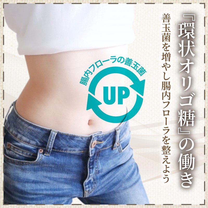 α-シクロデキストリン 600g 難消化水溶性食物繊維 サイクロデキストリン 環状オリゴ糖 計量スプーン付