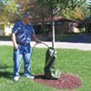 Tree Watering Bag - 20 Gallon Capacity - by Around the Home