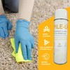 Jani-Source Pile-Up Foaming Carpet Stain Remover, Foaming Aerosol, 18 oz