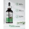 Horbäach Echinacea Goldenseal Liquid Tincture Drops | 2 fl oz