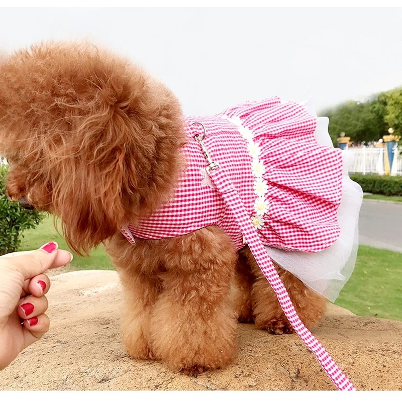 Small Dog Dress with Leash Set Adjustable Dog Harness Dress