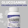 Arymar Glucosamine, Chondroitin, MSM, Collagen & Hyaluronic Acid Supplement 60