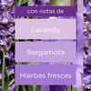 Glade Aromatizante Varitas Aroma Campos de Lavanda, Fragrancia Continua por